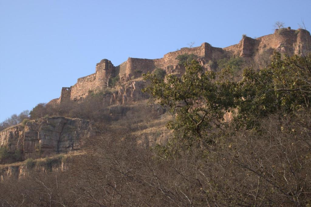 Green View Bed & Breakfast Sawai Madhopur Exterior foto